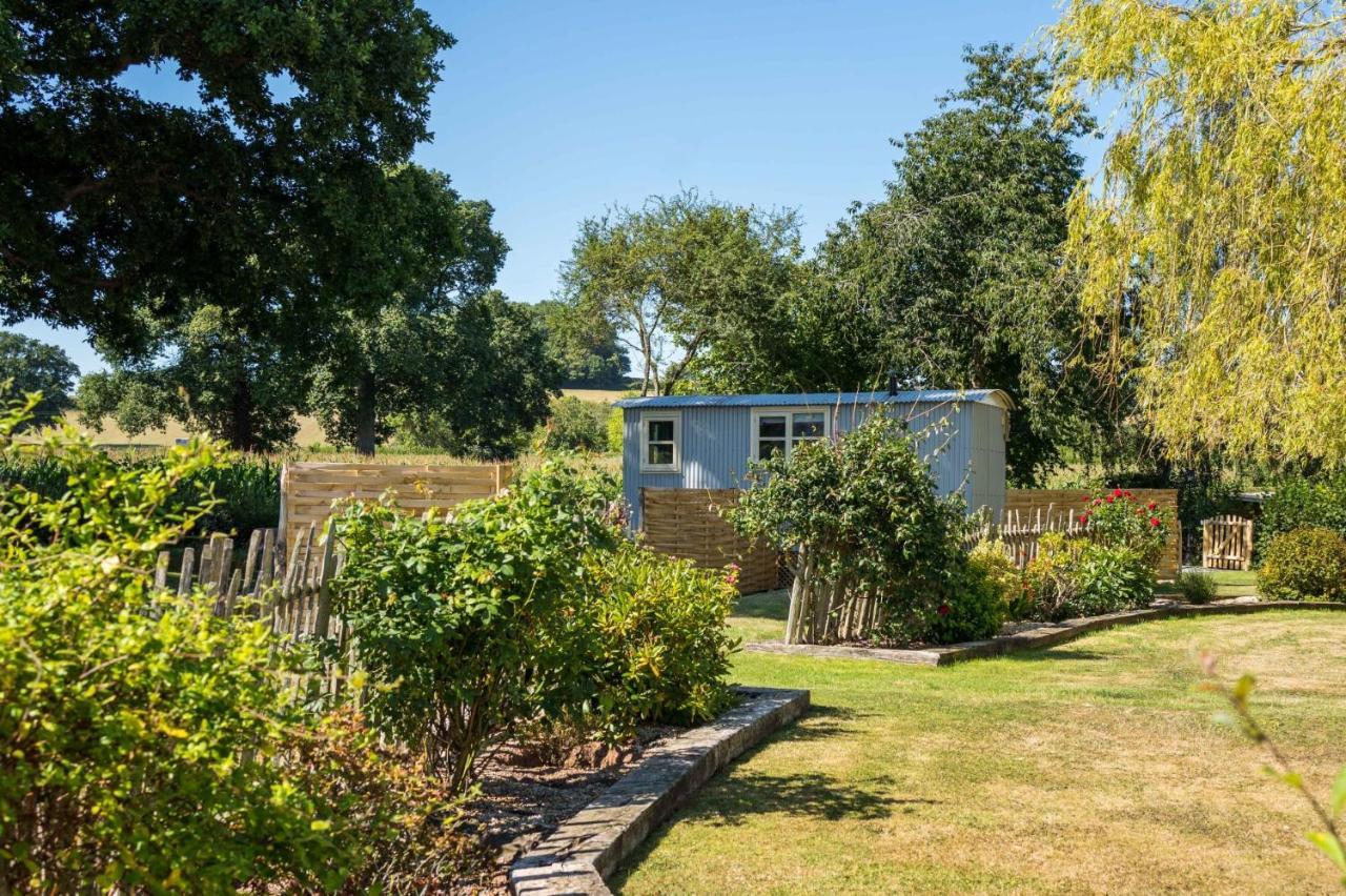 The Hideaway Hut - 1 Bed Shepherds Hut - Hereford Zewnętrze zdjęcie